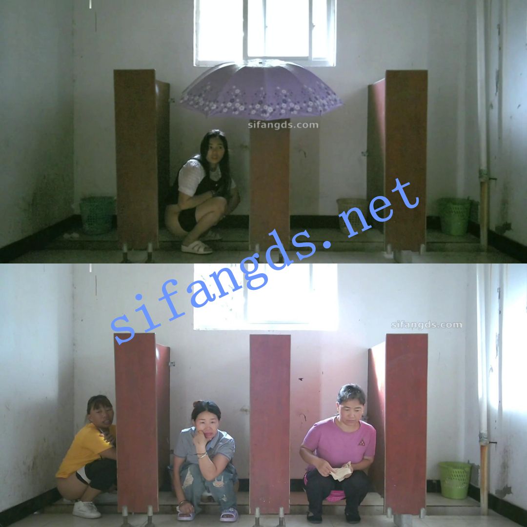 ✅《全景厕拍》佼佼者第十三期-升级全景+沟低双视角 []