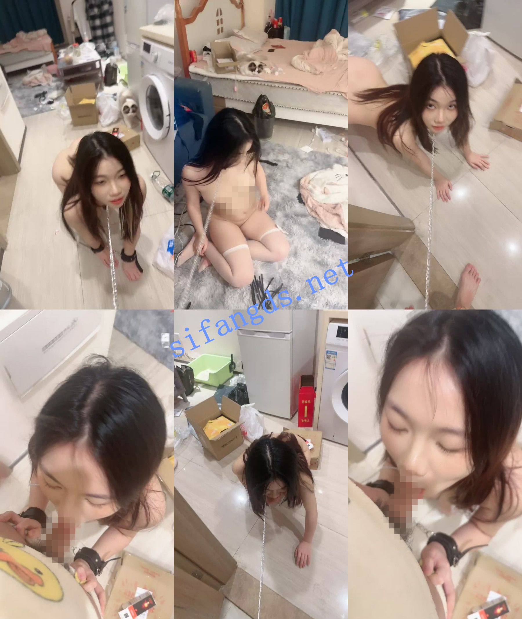 美术系校花,《猫猫》坚挺大奶,道具狂插,被小哥无情调教 []