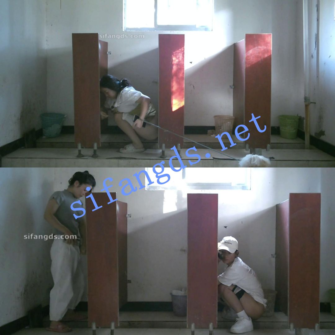 ✅《全景厕拍》佼佼者第十三期-升级全景+沟低双视角 []