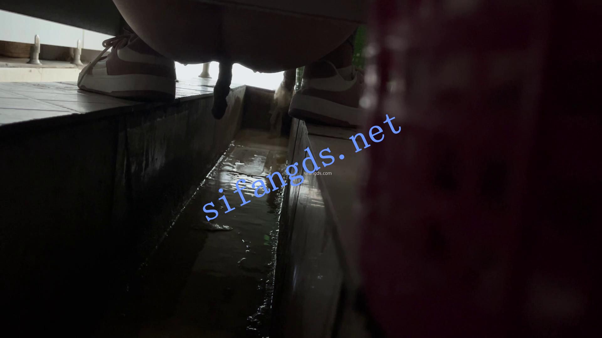 ✅《重口厕拍》女拍手沟式旱厕偷拍-满屏大便 拉稀第14期 []