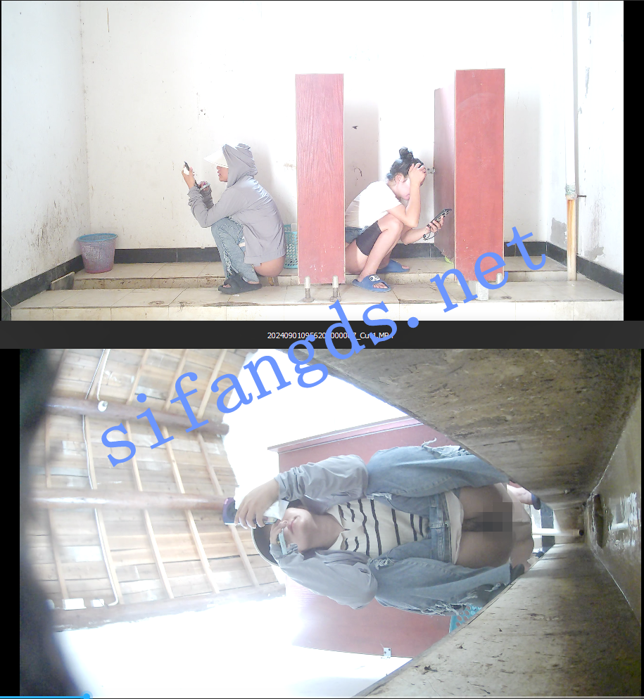 ✅《全景厕拍》拉裤子 佼佼者第十七期- 全景+沟底双视角 []