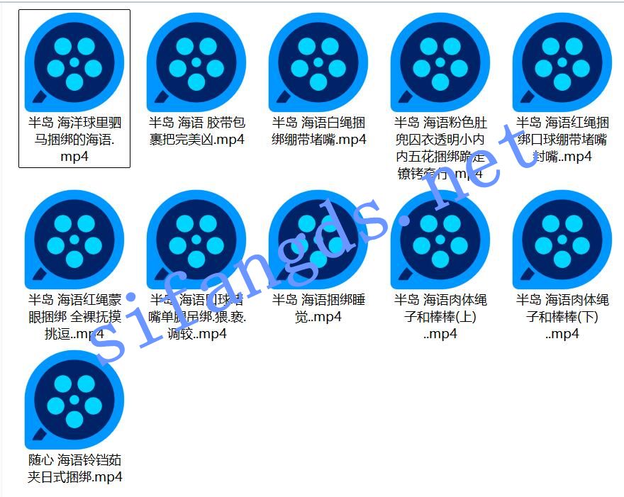 《重磅精品》绳缚调教《海语》多模式 绳捆绑 胶带上集全 [2.12G（11V）]