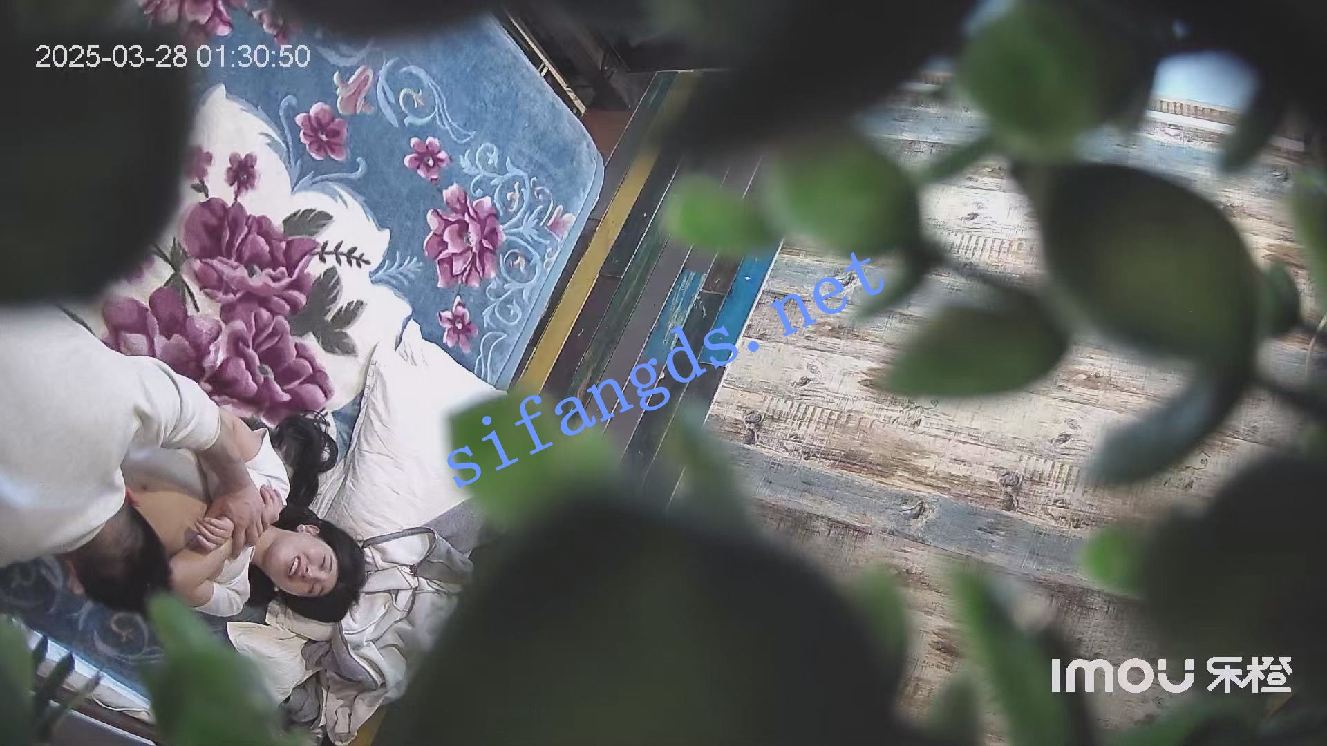 ✅25年乐橙酒店偷拍✅本月乐橙颜值最高女主出现 []