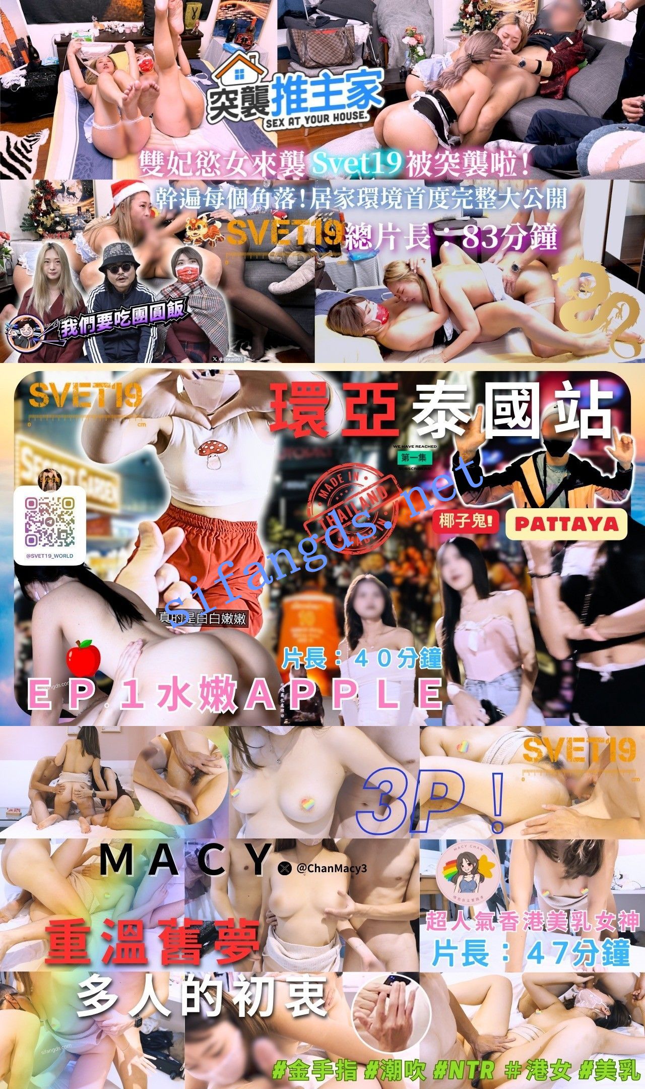 台湾网红大神《Svet19》原创线下主题约啪完整版47V []