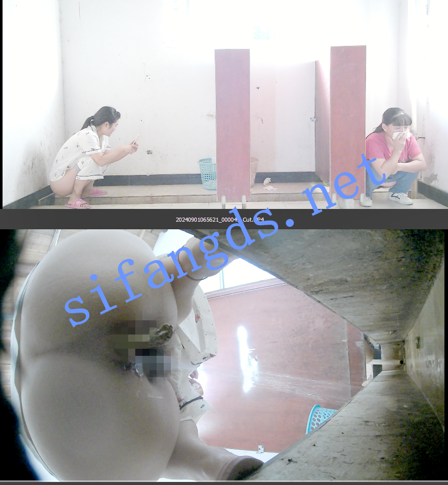 ✅《全景厕拍》拉裤子 佼佼者第十七期- 全景+沟底双视角 []