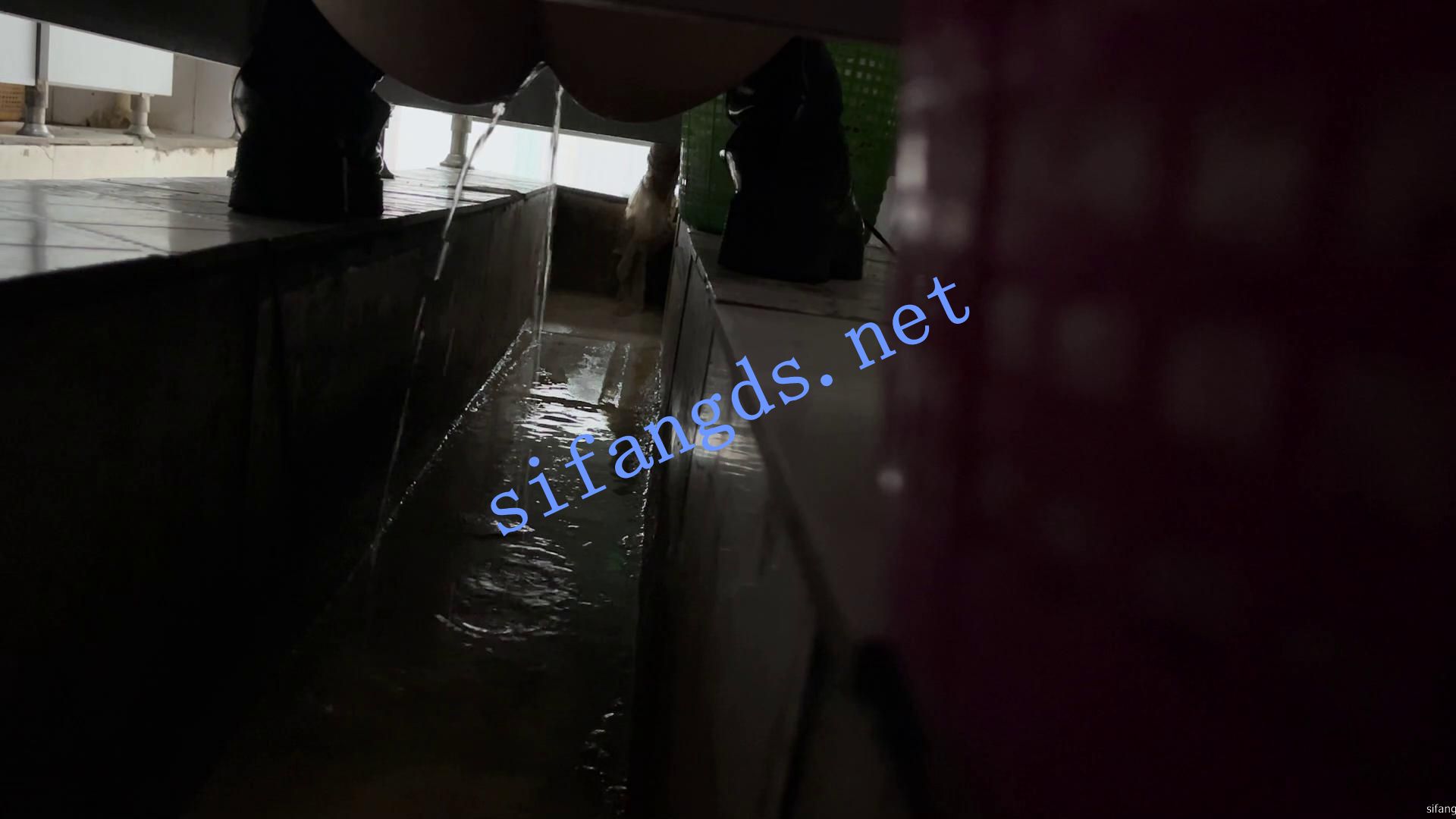✅《重口厕拍》女拍手沟式旱厕偷拍-满屏大便 拉稀第14期 []