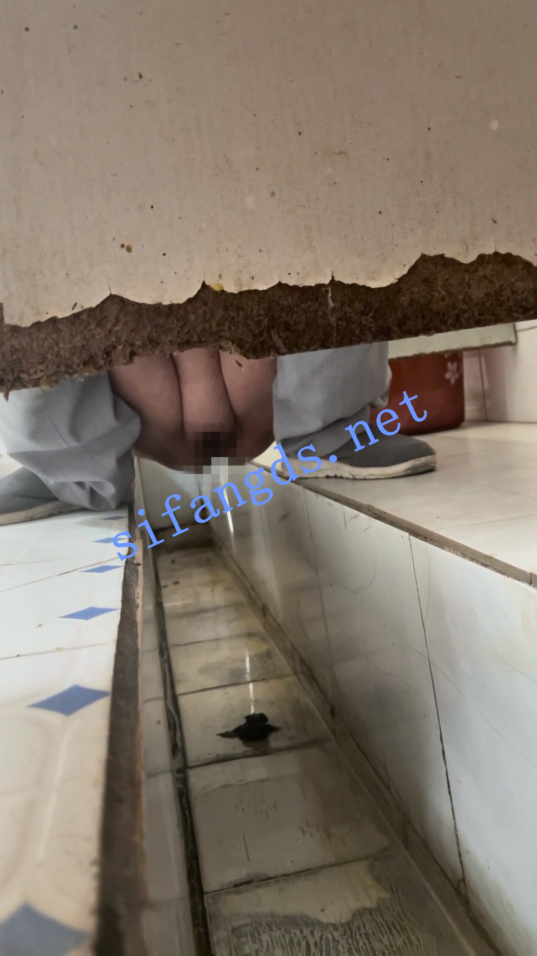 ✅《重口厕拍》女拍手沟式旱厕偷拍-满屏大便 拉稀第19期 []
