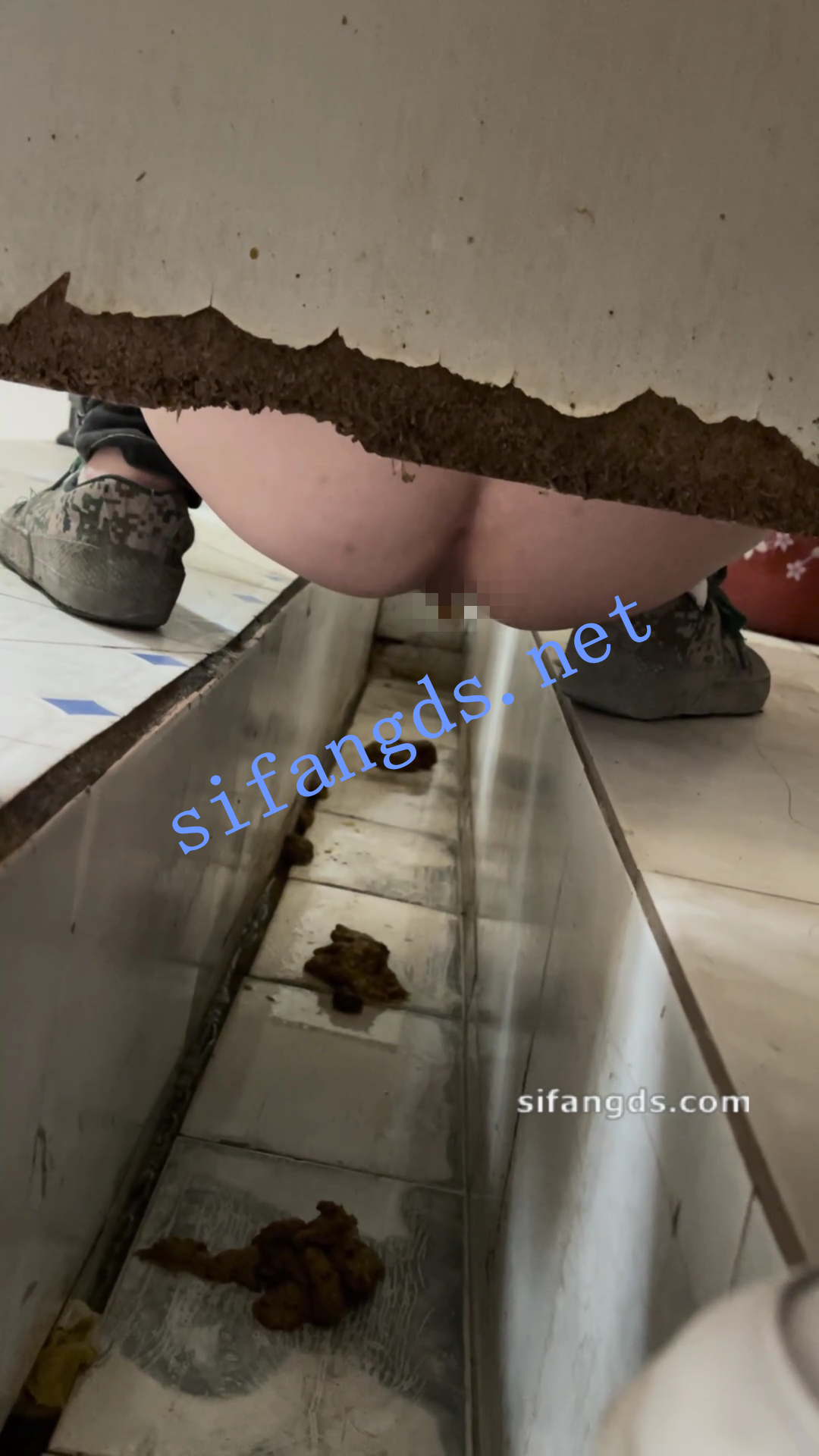 ✅《重口厕拍》女拍手沟式旱厕偷拍-满屏大便 拉稀第17期 []