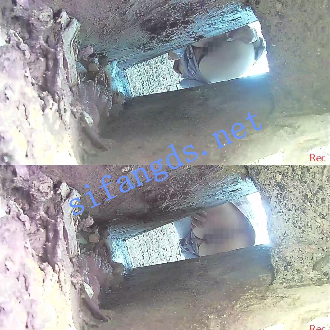 ✅绝版资源✅-驾校女旱厕原档无剪辑 []