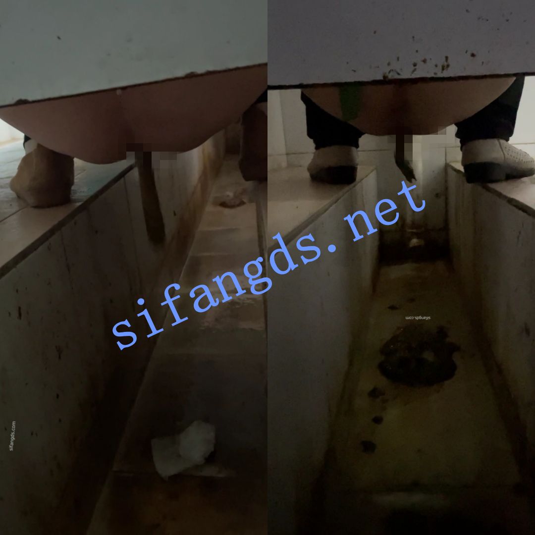 ✅《重口厕拍》女拍手沟式旱厕偷拍-满屏大便 拉稀第27期 []