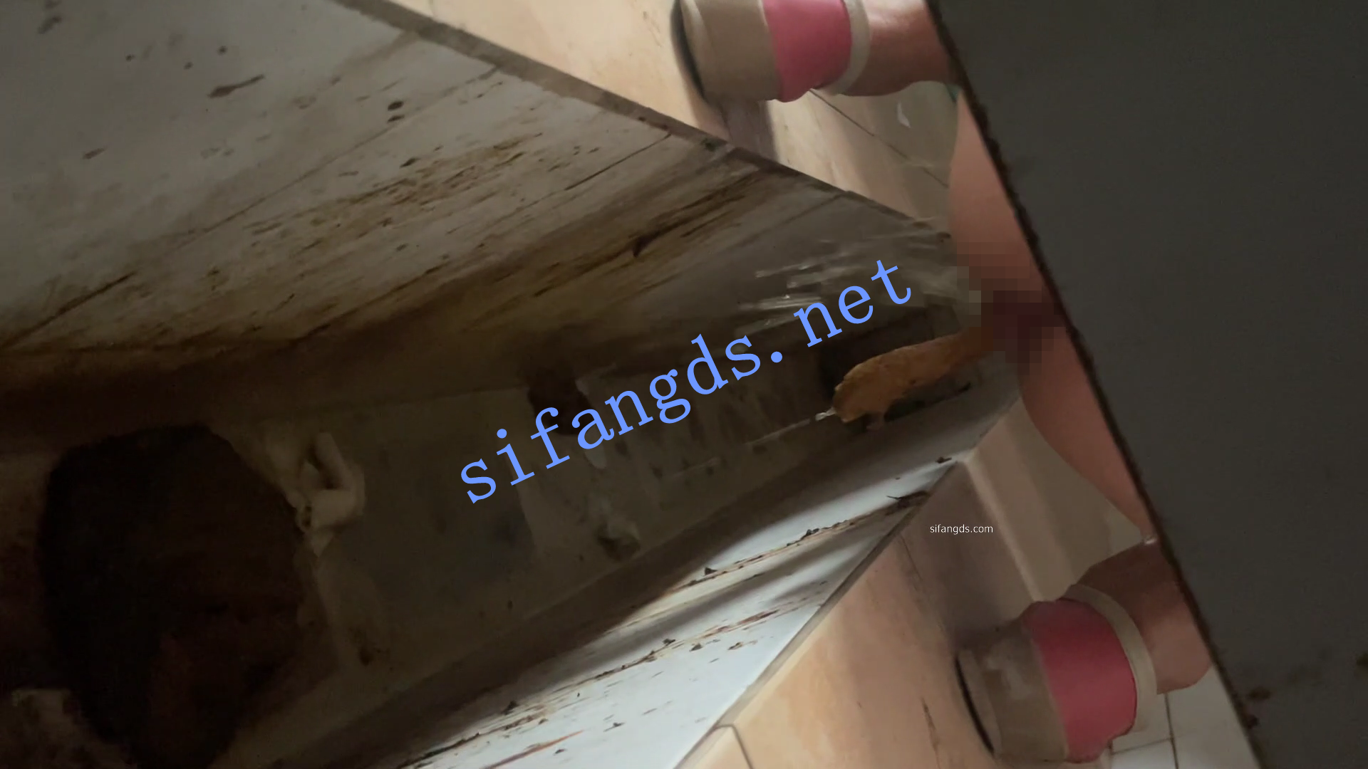 ✅《重口厕拍》女拍手沟式旱厕偷拍-满屏大便 拉稀第24期 []