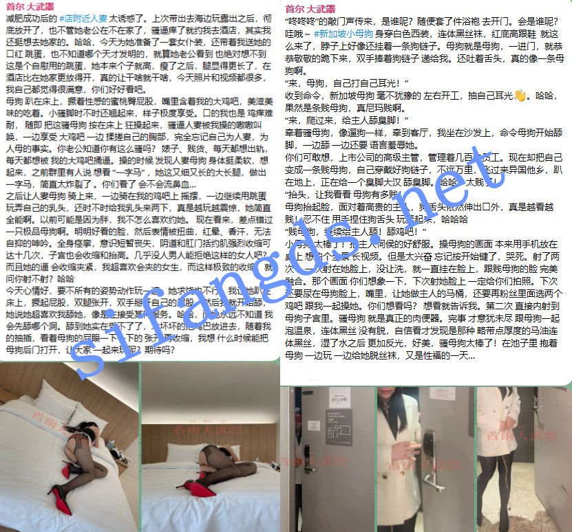 《重磅核弹》顶级约啪大神《首尔大武器》6月最新付费福利 []