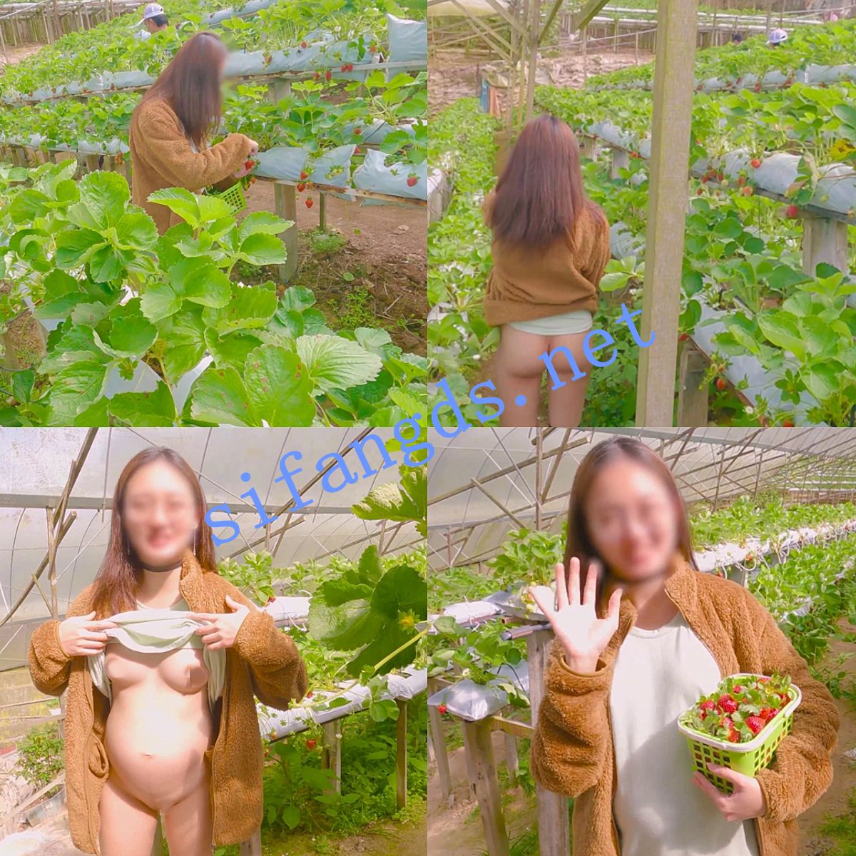 ❤️《MoriyaExhibit 》新加坡博主 孕妇产检户外大胆露出（3） [10G]